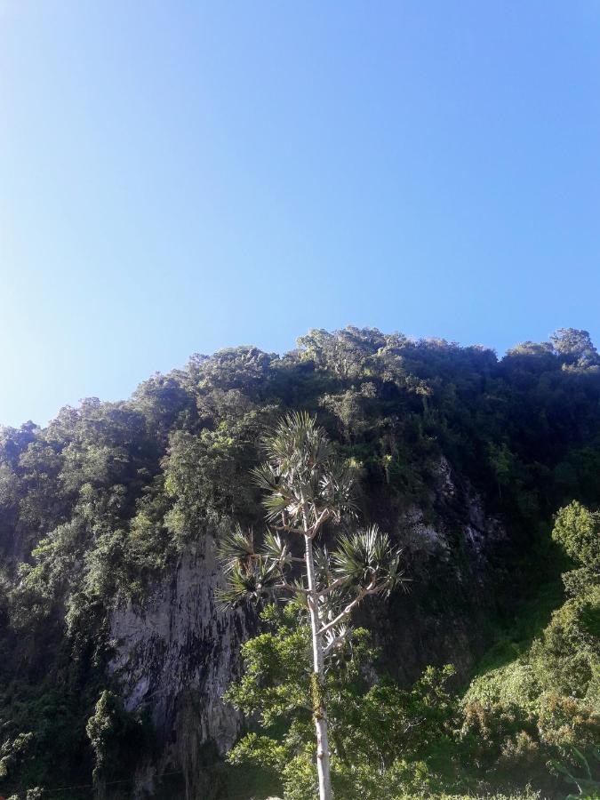 Bunga-Lodge Vanille ซานต์-อองเดร ภายนอก รูปภาพ